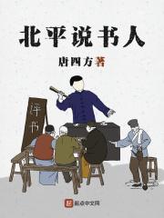 北平说书人TXT