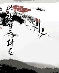 绝世神婿林凡全文