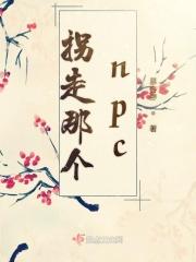 游戏里拐了个npc