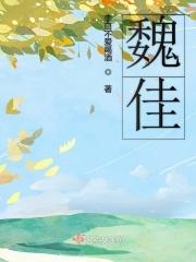 魏佳氏简介