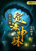 我有24颗定海神珠TXT免费