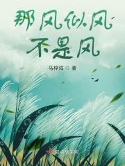 那是风雪什么歌