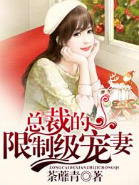 总裁的禁忌