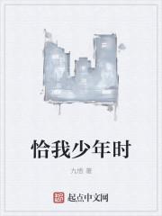 恰似少年时是什么意思