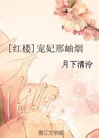 红楼宠妃之路