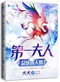 第一夫人总统先生的心尖宠全文免费阅读
