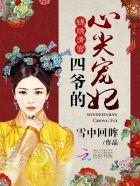四爷的的心尖宠妃