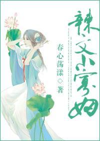 辣文小寡妇 百度