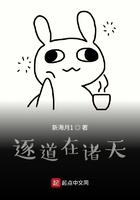 逐道在诸天顶点