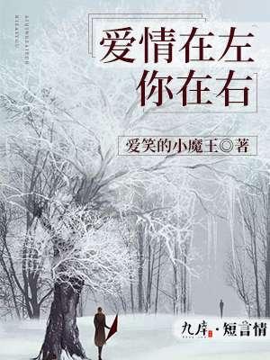 爱在左情在右什么意思