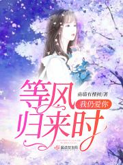 等风起等你归