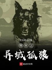 异域悍将秘籍