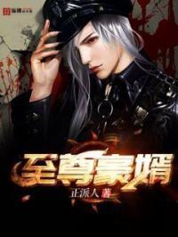 至尊豪婿 正派人