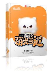 踢走前夫我的爱情不打折全文免费阅读