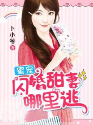 雪狼出击全文免费收听